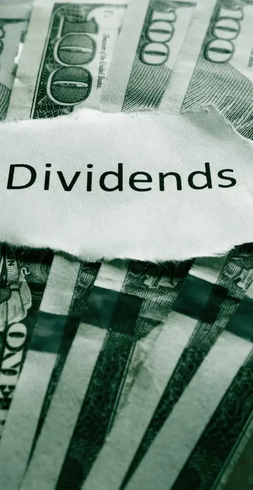 optimiser remuneration dirigeant